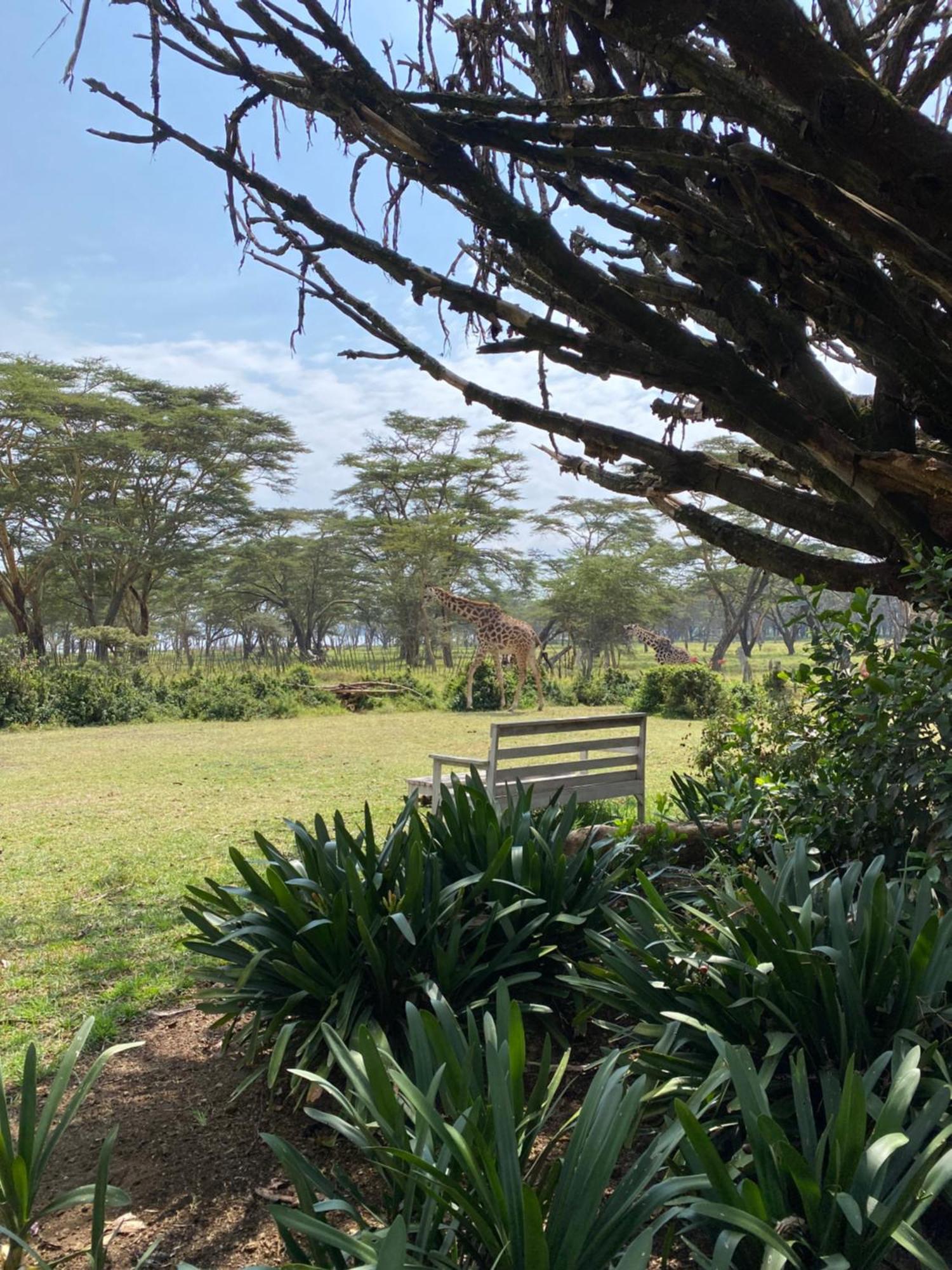 נאיוואשה The Sanctuary Farm House Lake View Wildlife מראה חיצוני תמונה